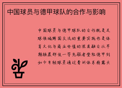 中国球员与德甲球队的合作与影响