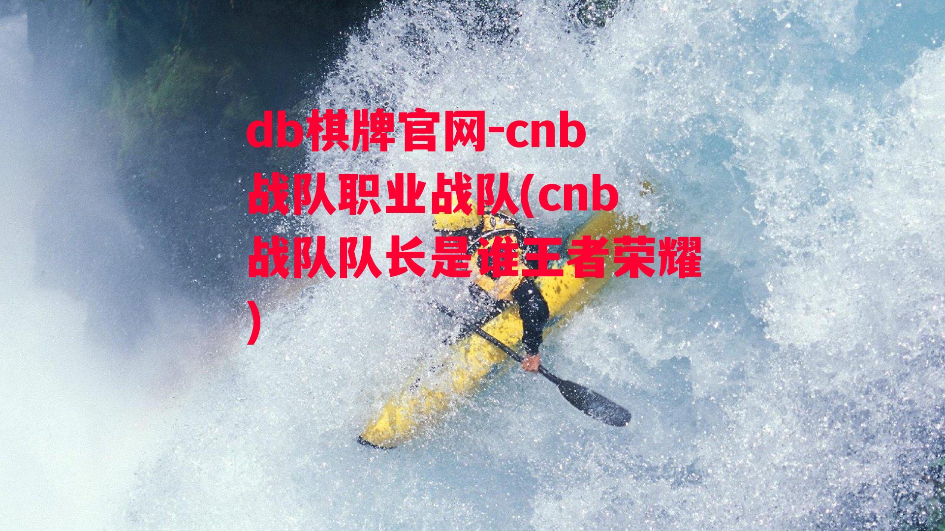 cnb战队职业战队(cnb战队队长是谁王者荣耀)